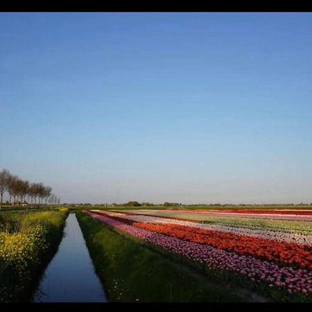 Cozy Chalet In Opmeer Near Amsterdam And Beach 外观 照片