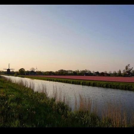 Cozy Chalet In Opmeer Near Amsterdam And Beach 外观 照片