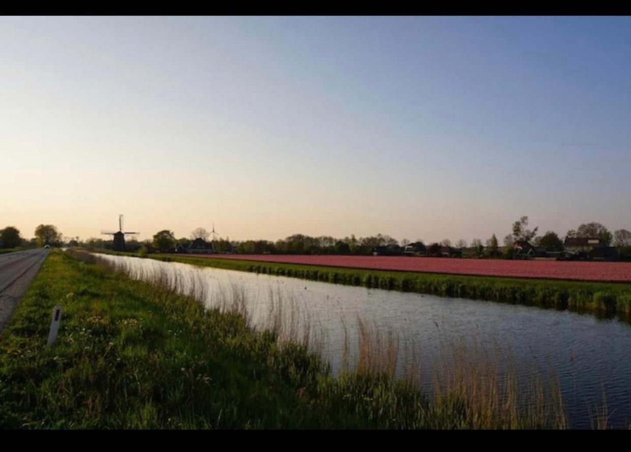 Cozy Chalet In Opmeer Near Amsterdam And Beach 外观 照片